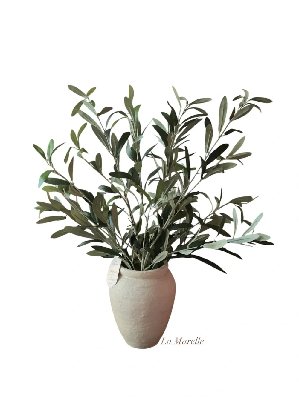Large Olive Leaf Potted Arrangement - Threshold designed with Studio McGee
